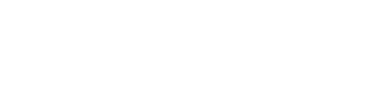 logo QuickVision